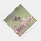 Charming Costa's Hummingbird Servet (Hoek)