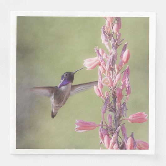 Charming Costa's Hummingbird Servet (Voorkant)