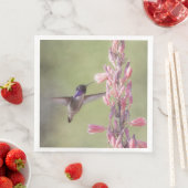 Charming Costa's Hummingbird Servet (Insitu)