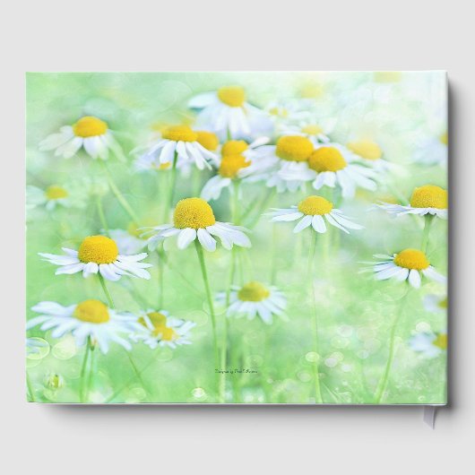 Charming Daisy, Script Font Gastenboek (Achterkant)