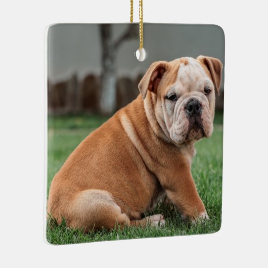 Charming English Bulldog Puppy Keramisch Ornament (Rechts)