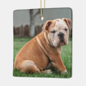 Charming English Bulldog Puppy Keramisch Ornament (Links)