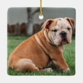 Charming English Bulldog Puppy Keramisch Ornament (Achterkant)