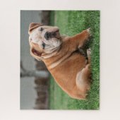Charming English Bulldog Puppy Legpuzzel (Verticaal)