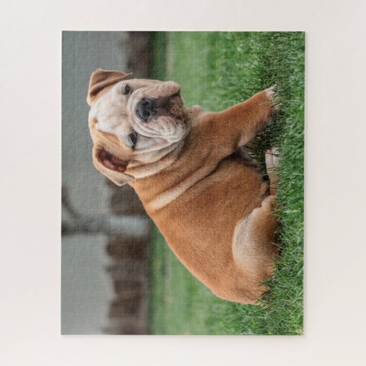 Charming English Bulldog Puppy Legpuzzel (Verticaal)