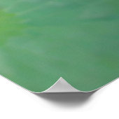 Charming Fuchsia Water Lily Poster (Hoek)