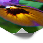 Charming Gardeners Proust Quote Cheerful Pansies Poster (Hoek)