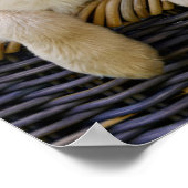 Charming Golden Retriver, een Cute Puppy Dog Foto  Poster (Hoek)