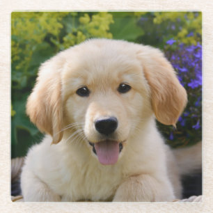 Charming Goldie Dog Puppy Cute Photo, Table-Decor Glazen Onderzetter