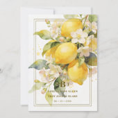 Charming Mediterranean Botanical Floral Lemons Kaart (Voorkant)