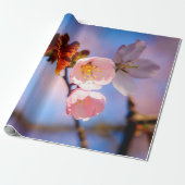 Charming Sakura Blossom Cadeaupapier (Uitgerold)