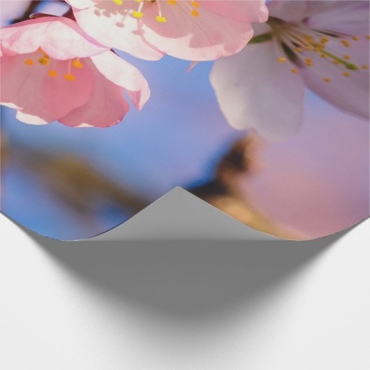 Charming Sakura Blossom Cadeaupapier (Hoek)