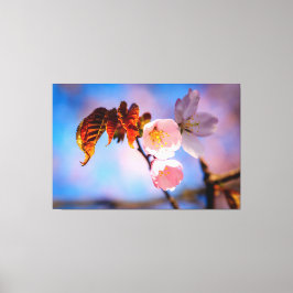Charming Sakura Blossom Canvas Afdruk