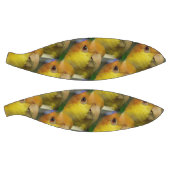 Charming White Bellied Caique Parrot Basketbal (Panelen)