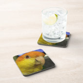 Charming White Bellied Caique Parrot Bier Onderzetter (Rechterzijde)