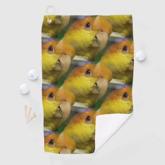 Charming White Bellied Caique Parrot Golfhanddoek (Insitu)