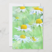 Charming White Daisies, Green Fonts Vrijgezellenfe Kaart (Achterkant)