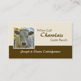 Charolais beef steer of heifer visitekaartje