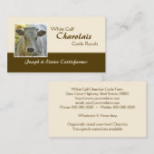 Charolais beef steer of heifer visitekaartje (Voorkant / Achterkant)