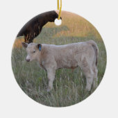 Charolais calf keramisch ornament (Voorkant)