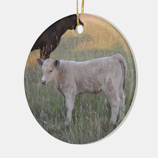 Charolais calf keramisch ornament (Links)
