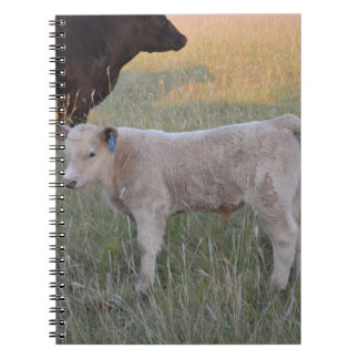 Charolais calf notitieboek
