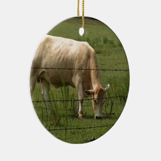 Charolais Cow Grazing in het veld Keramisch Ornament (Rechts)