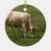Charolais Cow Grazing in het veld Keramisch Ornament (Voorkant)