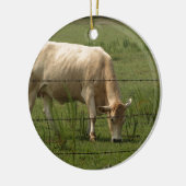 Charolais Cow Grazing in het veld Keramisch Ornament (Links)