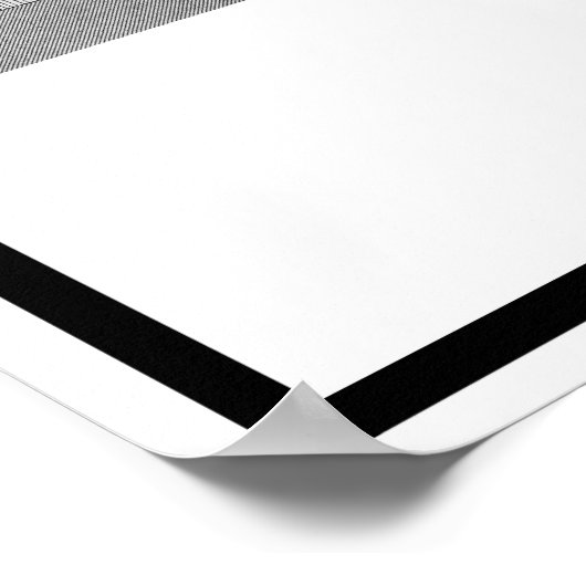 CHARTRES CATHEDEDRAL POSTER (Hoek)