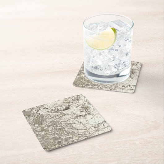 Chartres Kartonnen Onderzetters (Insitu)