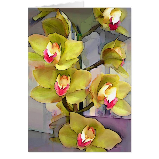 Chartreuse Cymbidiums (Voorkant)