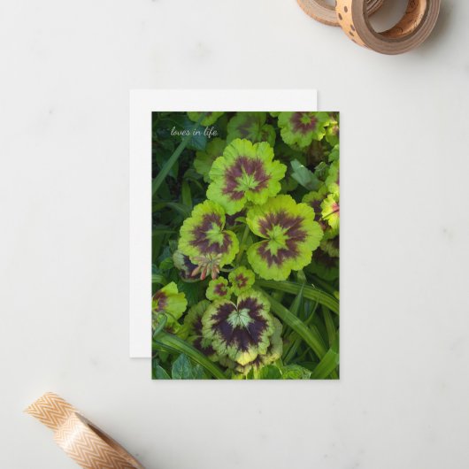 Chartreuse gekleurde geranium bladeren notitiekaartje (Voorkant / Achterkant in situ)