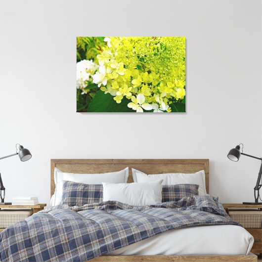 Chartreuse Green, Limelight Hydrangea Canvas Afdruk (Insitu (Slaapkamer))