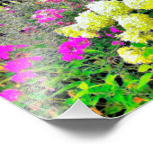 Chartreuse Green Limelight Hydrangea Garden Foto Afdruk (Hoek)