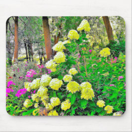 Chartreuse Green Limelight Hydrangea Garden Muismat