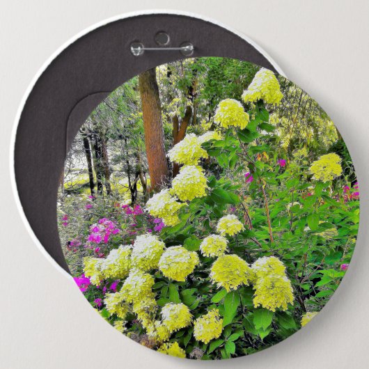 Chartreuse Green Limelight Hydrangea Garden Ronde Button 6,0 Cm (Voorkant /achterkant)