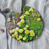 Chartreuse Green Limelight Hydrangea Garden Ronde Button 6,0 Cm (In situ)