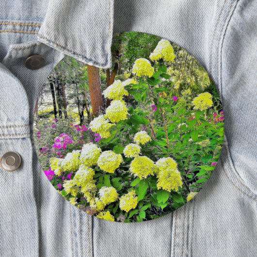 Chartreuse Green Limelight Hydrangea Garden Ronde Button 6,0 Cm (In situ)