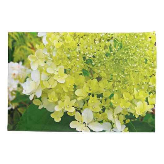 Chartreuse Green, Limelight Hydrangea Kussensloop (Achterkant)