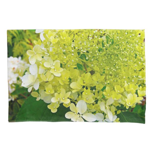 Chartreuse Green, Limelight Hydrangea Kussensloop (Voorkant)