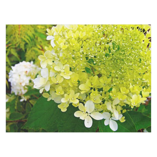 Chartreuse Green, Limelight Hydrangea Tafelkleed (Voorkant (Horizontaal))