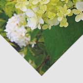 Chartreuse Green, Limelight Hydrangea Tissuepapier (Detail)