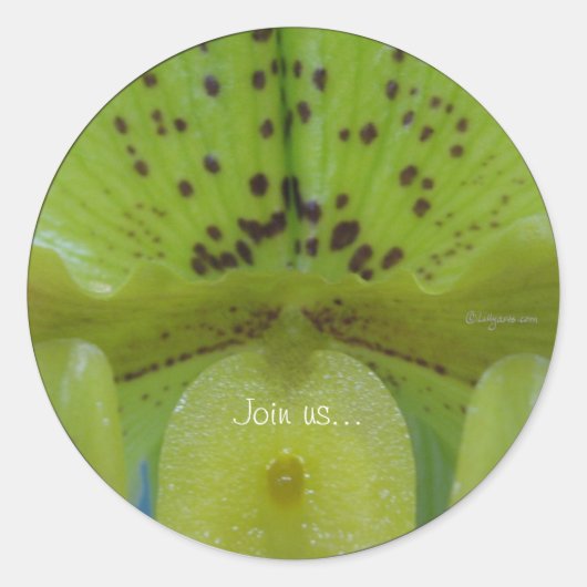 Chartreuse Green Slipper Orchidee Wedding Seals Ronde Sticker (Voorkant)