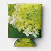 Chartreuse Groen, Limelight Hydrangea, Blikjeskoeler (Voorkant)
