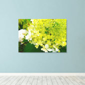 Chartreuse Groen, Limelight Hydrangea, Canvas Afdruk (Insitu (Houten vloer))