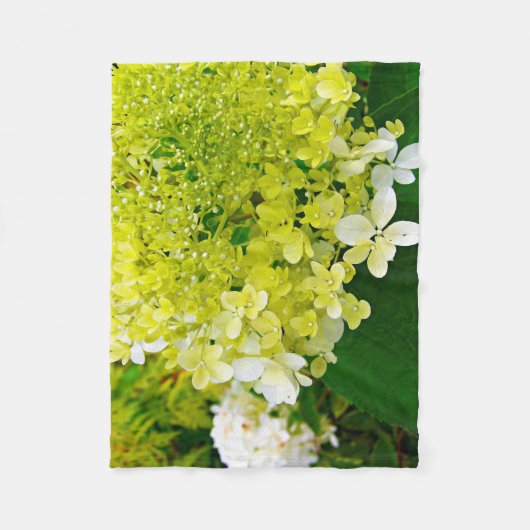 Chartreuse Groen, Limelight Hydrangea, Fleece Deken (Voorkant)