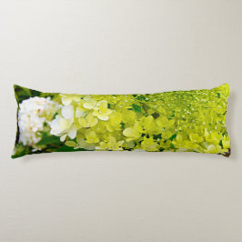 Chartreuse Groen, Limelight Hydrangea, Lichaamskussen