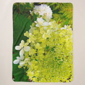 Chartreuse Groen, Limelight Hydrangea, Sherpa Deken (Voorkant)
