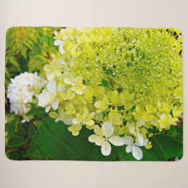 Chartreuse Groen, Limelight Hydrangea, Sherpa Deken